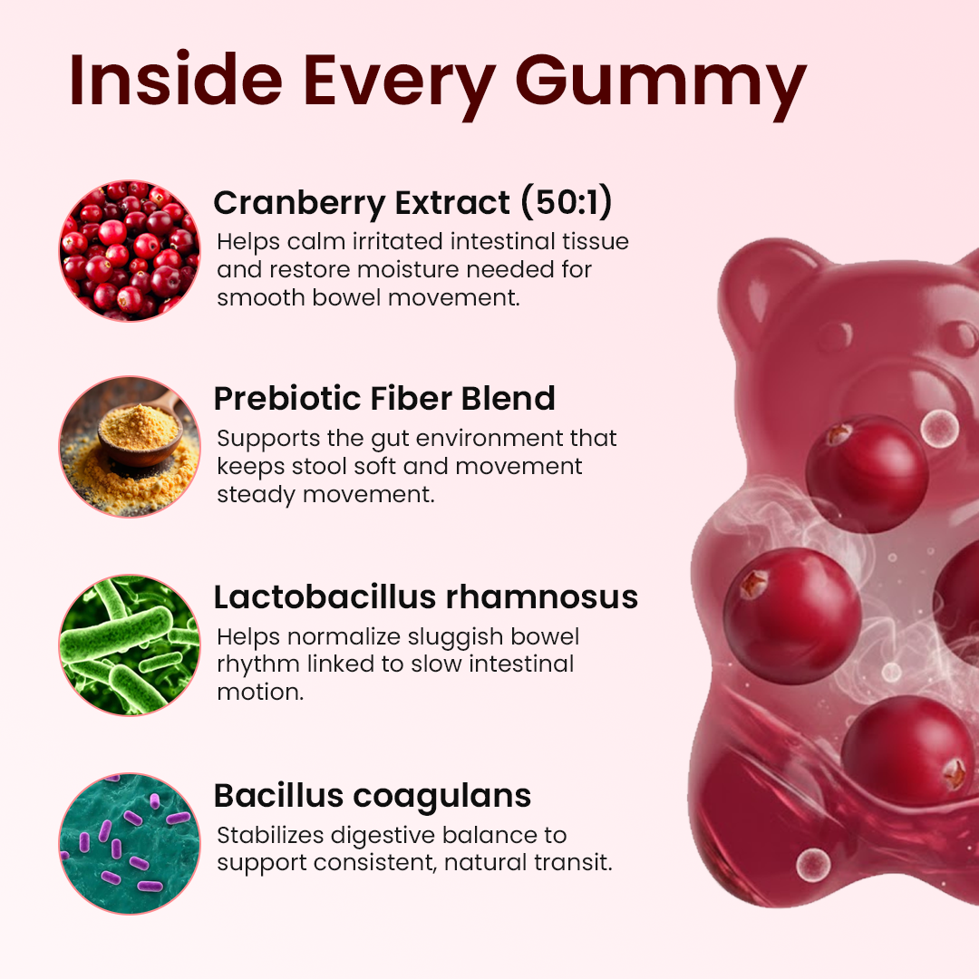 Cranberry Gummies | Urinary & Kidney Defense Formula