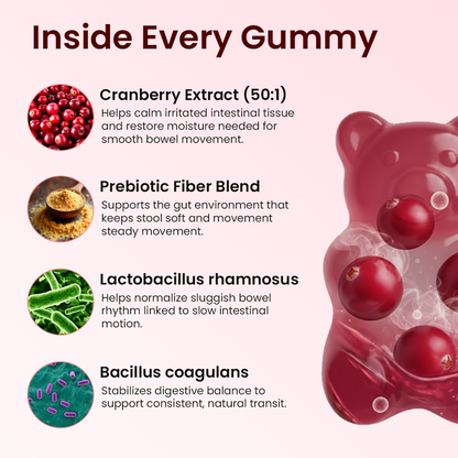 Cranberry Gummies | Urinary & Kidney Defense Formula